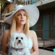 6 filme subapreciate din 2019 pe care trebuie să le vezi