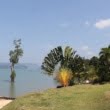 7 motive să alegi Thailanda. E țara cea mai potrivită pentru cei care decid să meargă în premieră într-o vacanță exotică în Asia