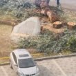 Armata a finalizat Piața NATO din București. Monumentul a costat 34.000 de euro și un copac tăiat