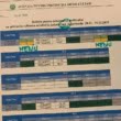 Gabriela Firea cere demisia ministrului Mediului și spune că aerul din București e excelent