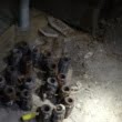 VIDEO | Alertă cu bombă în centrul Bucureștiului, pe Calea Victoriei. Ce au descoperit pirotehniștii