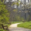 Primăvara de care avem nevoie, imagini pentru suflet. Pentru că nu puteți ajunge la Grădina Botanică în acestă perioadă, Libertatea v-o aduce acasă