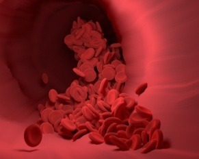 imprimanta 3d alimentara