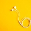 Ce inseamna podcast in engleza