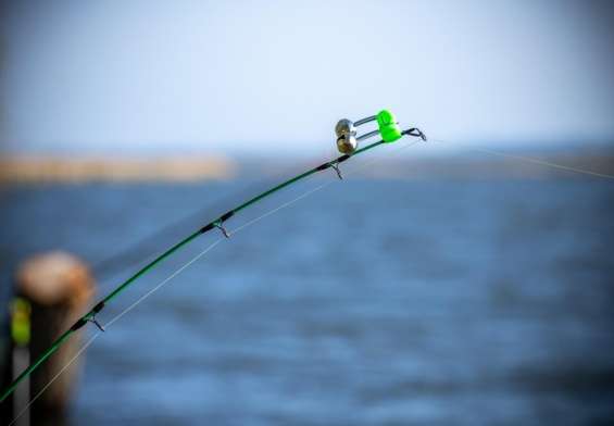 ce inseamna pescuit la feeder
