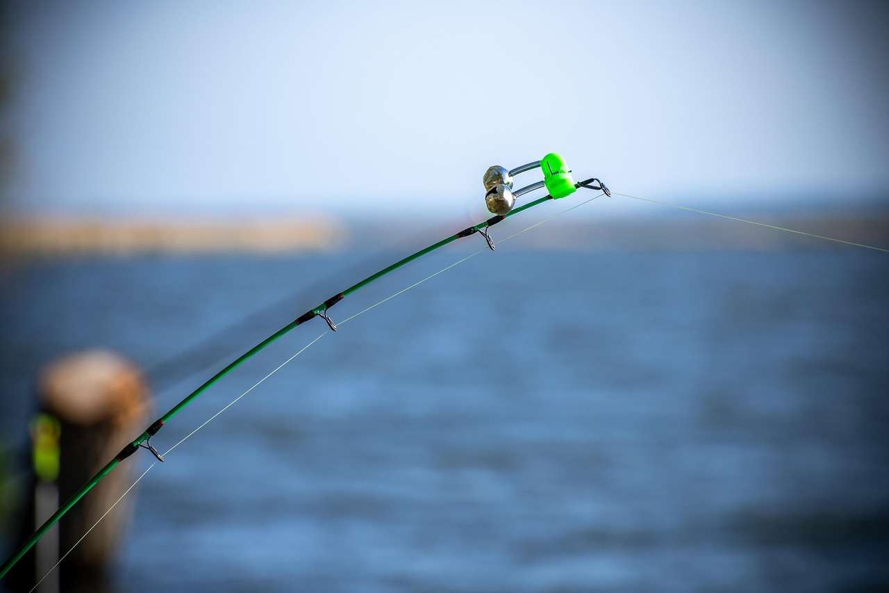 ce inseamna pescuit la feeder
