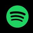 Ce inseamna streaming