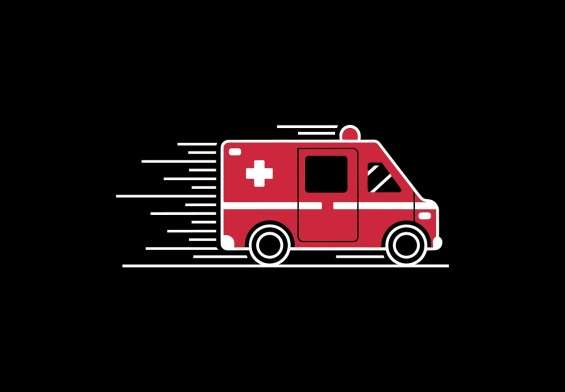ce inseamna sterilizarea la pisici